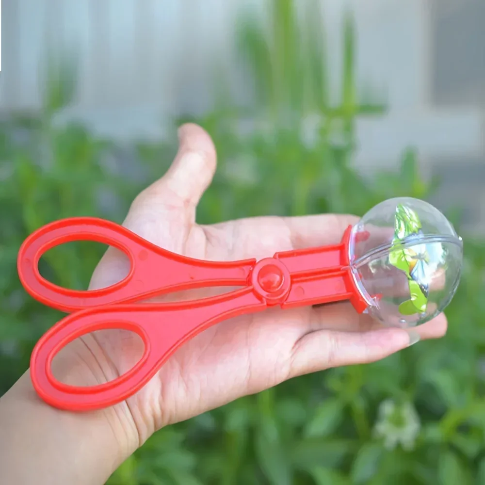 Colorful Large Bead Bug Catchi - Outdoor Adventure Gifts ulasan dan harga